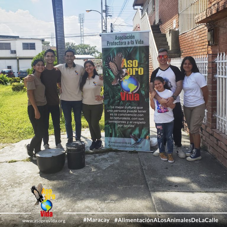 Jornada alimentacion mascotas 1