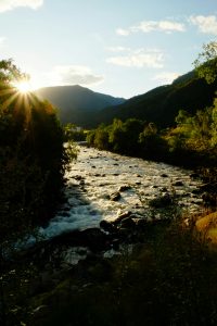 bernhard Wf22F4J5YCY unsplash